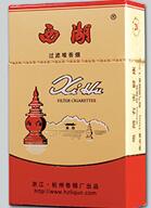 绿色烟嘴的进口香烟